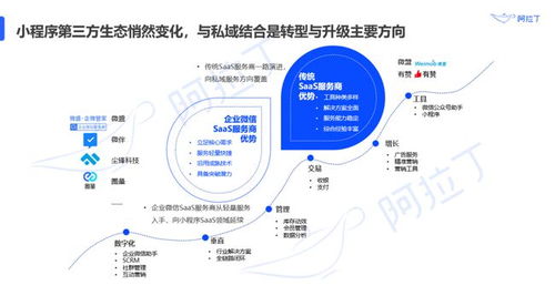 小程序DAU超4.1億 解碼微信電商未來三年GMV破10萬億的互聯(lián)網(wǎng)技術(shù)服務(wù)新紀(jì)元
